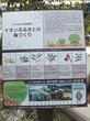 DSCF1382.jpg