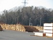 IMG_0761.jpg