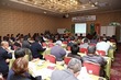 IMG_5539.jpg